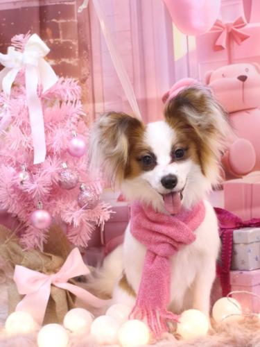 20241208ムーくん